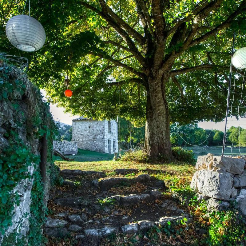 Maison Marthe - Maison Nomade Chic Coursegoules Eksteriør bilde