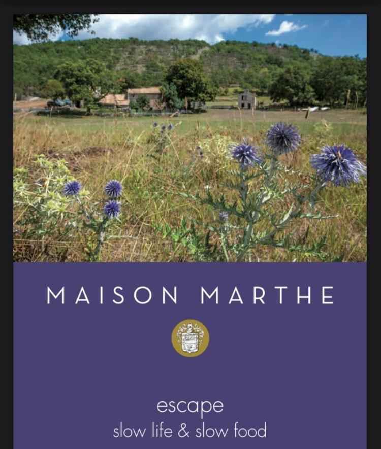Maison Marthe - Maison Nomade Chic Coursegoules Eksteriør bilde
